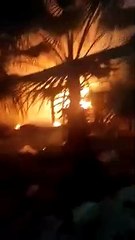 إخماد حريق فى نخلة داخل مستشفى صدر المحلة قبل امتداده لمبنى الإدارة الصحية