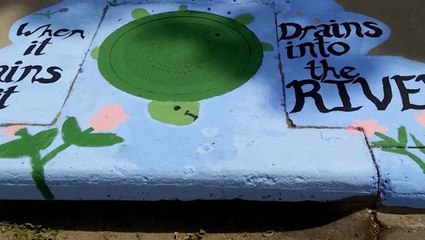 Cities use art to fight storm water pollution