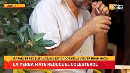Aseguran que la yerba mate reduce el colesterol