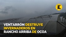 Ventarrón destruye más de 300 mil metros de invernaderos en Rancho Arriba de Ocoa