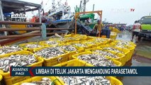 Pemprov DKI Jakarta Akan Telusuri Sumber Pencemaran Teluk Jakarta
