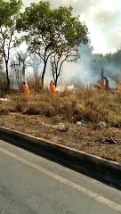 Incêndio interdita rodovia mineira