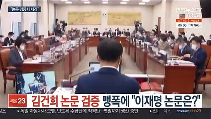 '김건희 논문' 맹폭에 "이재명 논문은?"