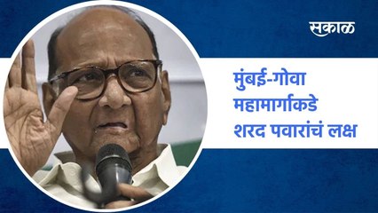 Sharad Pawar: मुंबई-गोवा महामार्गाकडे शरद पवारांचं लक्ष, पाहा सविस्तर बातमी