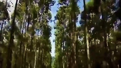 Forget all your problems and enjoy this natural beauty