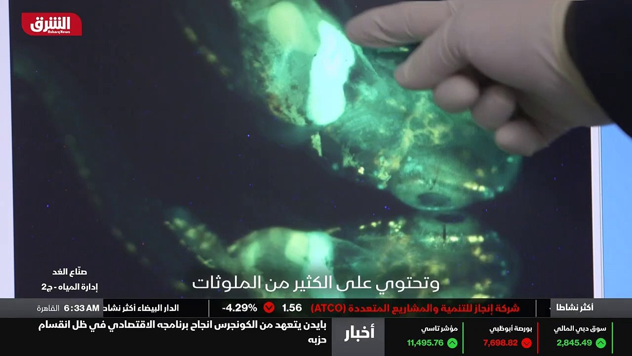 الدماغ الجديد