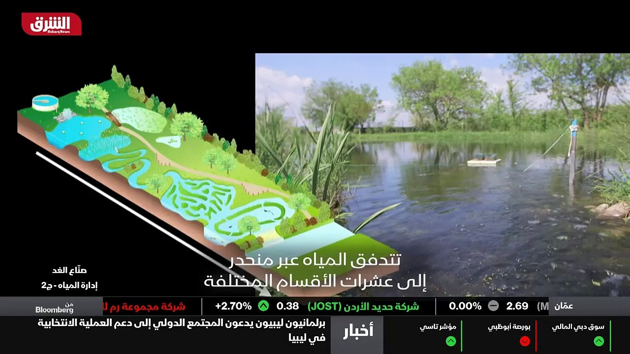 الدماغ الجديد