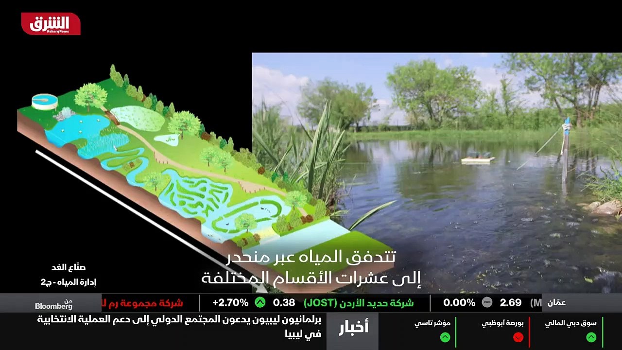 الدماغ الجديد