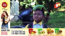 Watch Gwalior’s Parrot & Kids Friendship, They Play Together, Eat Together
