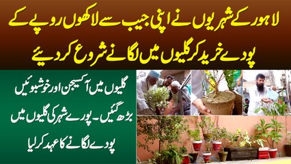 Lahore Ke Shehrion ne Apni Jaib  Se Lakhon Ke Plants Galion Me Lagana Shuru Kar Diye
