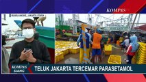 Temuan Kontaminasi Paracetamol di Air Teluk Jakarta, Warga Akui Air Lebih Berbau dan Keruh