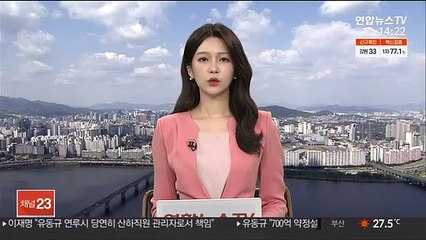 Video herunterladen: 1호선 남영역서 열차 고장…한때 운행 지연