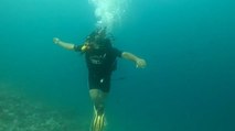 Golden Boy Neeraj Chopra shared video of underwater training