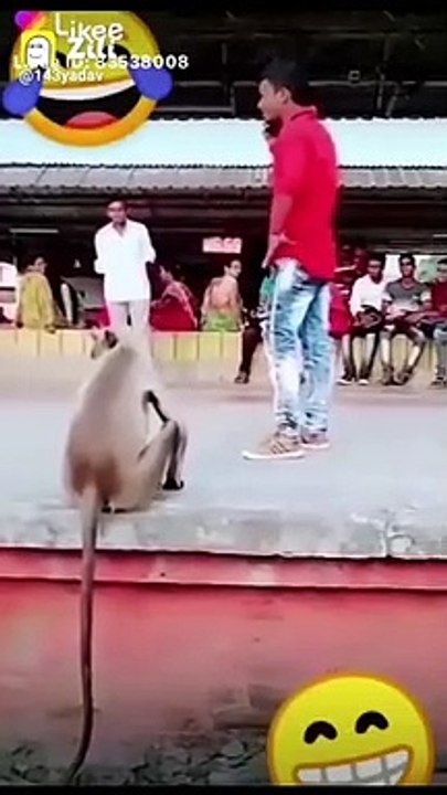 Video lucu ...