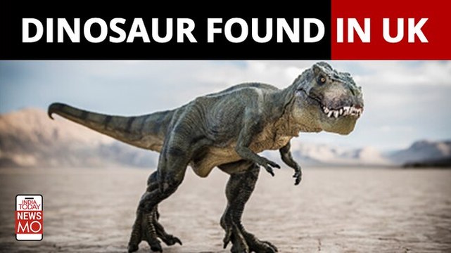 New species of dinosaur unearthed in England by Isle of Wight fossil hunters