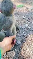 CUANDO TE AGARRA OTRA SEÑORA