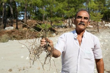 DENİZ BÖRÜLCESİ ALANINDA İŞ MAKİNELİ KATLİAM