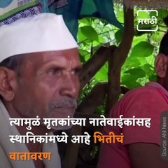 STPF Launches Operation To Trap Man-Eater Tiger In Gadchiroli