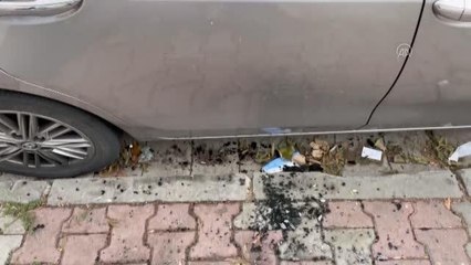 Bakırköy'de otomobilden hırsızlık
