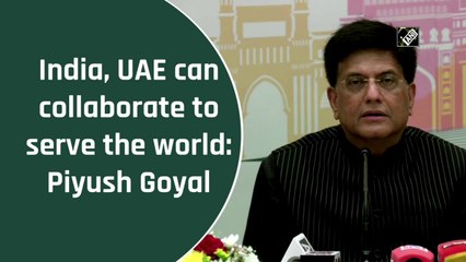 India, UAE can collaborate to serve the world: Piyush Goyal