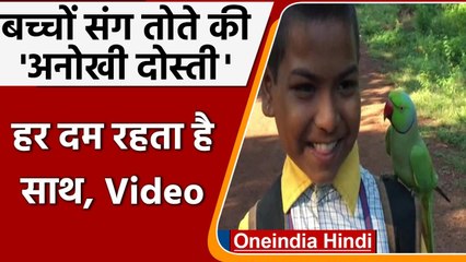 MP: बच्चों के साथ तोते की अनूठी दोस्ती, लंच, डिनर, खेल-कूद सब करता है साथ | वनइंडिया हिंदी