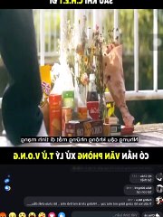 Chết chưa phải là hết, Death is not the end