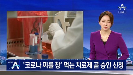 ‘코로나 찌를 창’ 먹는 치료제 곧 승인 신청…선구매 접촉 중
