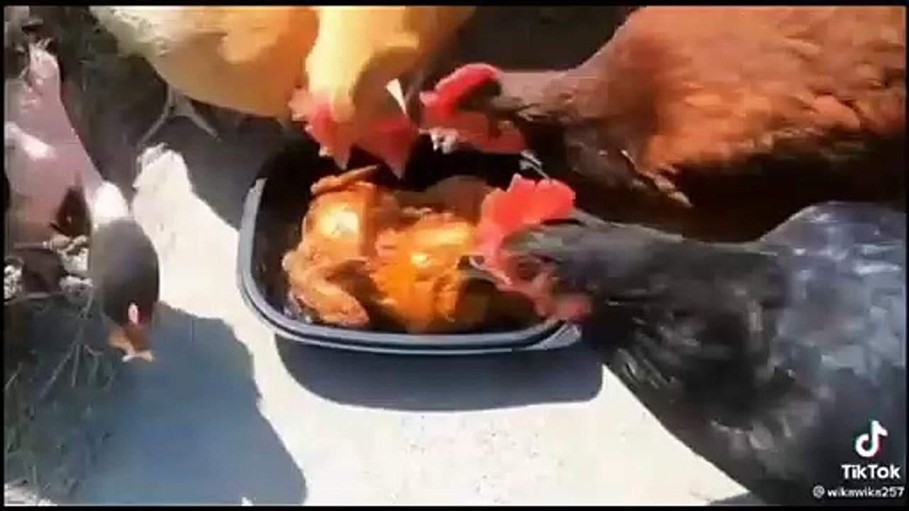 Dont try this meme at home