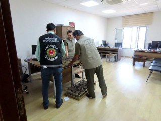 Saka kuşu kaçakçıları yakalandı