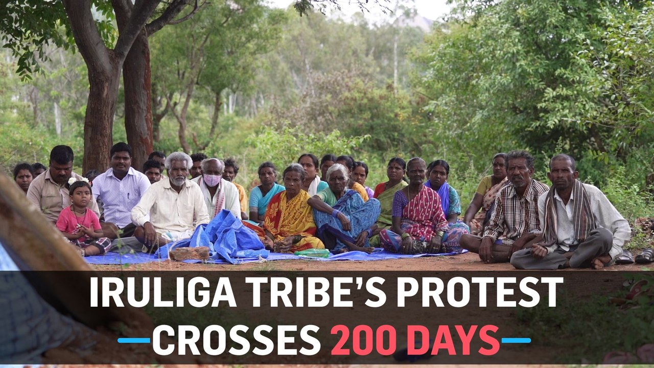 Why is the Iruliga Tribe protesting in Ramanagara?