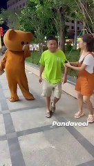 panda reels |panda funny video||panda comedy video#shorts #ytshorts