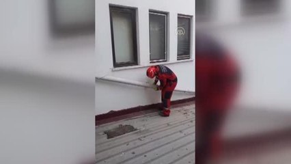 Fethiye'de boruya sıkışan kedi yavrusunu itfaiye kurtardı