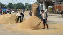 Shankhnaad: Govt to procure Kharif crops from tomorrow
