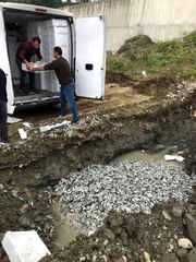 Türkeli'de yasal boyutun altındaki 5 ton balığa el konuldu