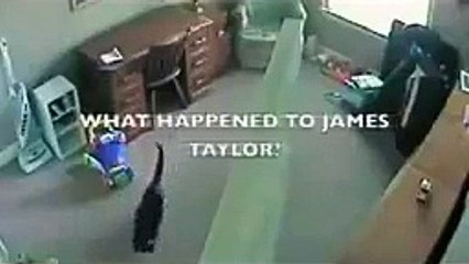 Cat defends baby from babysitter