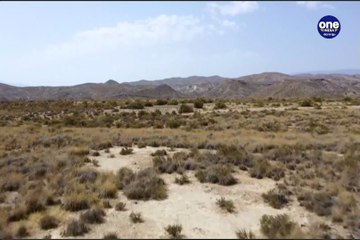 Europe to the Max: Cowboy Country | Oneindia Malayalam