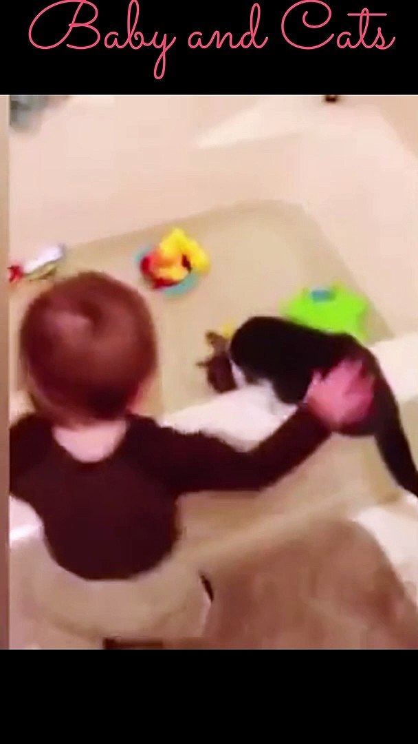 Babies and Pets
