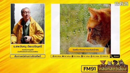 โรคของสุนัขและแมวที่มากับหน้าฝน EP.1 : FM91 คลินิกสัตว์เลี้ยง : 28 สิงหาคม 2564