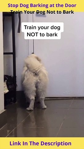 Stop Dog Barking at the Door | Train Your Dog Not To Bark