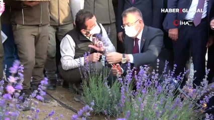 Cumhurbaşkanı Yardımcısı Oktay: Bölgesinde söz söyleyen ve sözü dinlenen bir Türkiye var