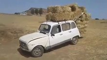 renault 4gtl morocco