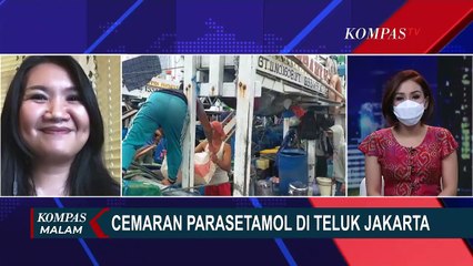 Sorotan: Parasetamol Cemari Teluk Jakarta