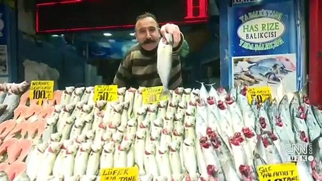 Tezgahlarda palamut ve lüfer bolluğu yaşanıyor