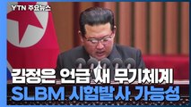 새 무기체계 개발 언급한 김정은...선보일 무기는 무엇? / YTN