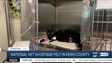 National Veterinarian shortage felt in Kern County