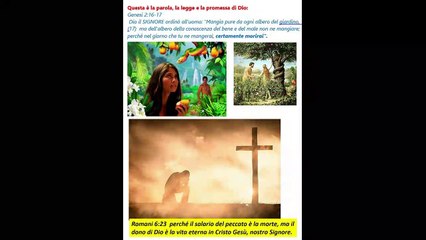 Il papa dice di non sapere perche Gesu' e' morto sulla croce!