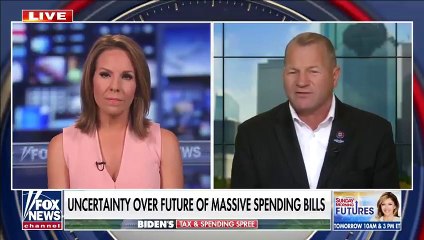 Rep Troy Nehls_ US can_t afford Biden_s massive spending plan