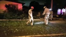 Árvore cai na Rua Afonso Pena e deixa residência sem energia elétrica