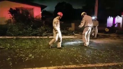 Download Video: Árvore cai na Rua Afonso Pena e deixa residência sem energia elétrica