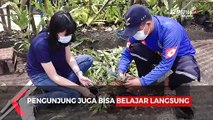 Kampung Edukasi Anggrek di Kota Batu, Belajar Langsung Dari Ahlinya